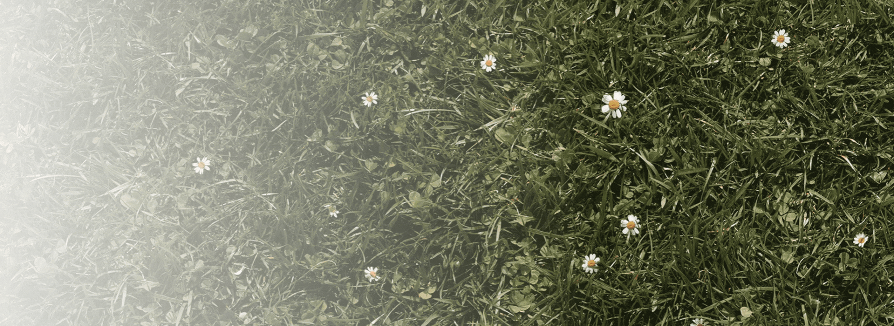 Deux produits Superfood (Beurre Nettoyant Éclat AHA Superfood et Hydratant Glow Priming Superfood) en taille voyage pour seulement 12,50€ avec le code SUPERFOOD