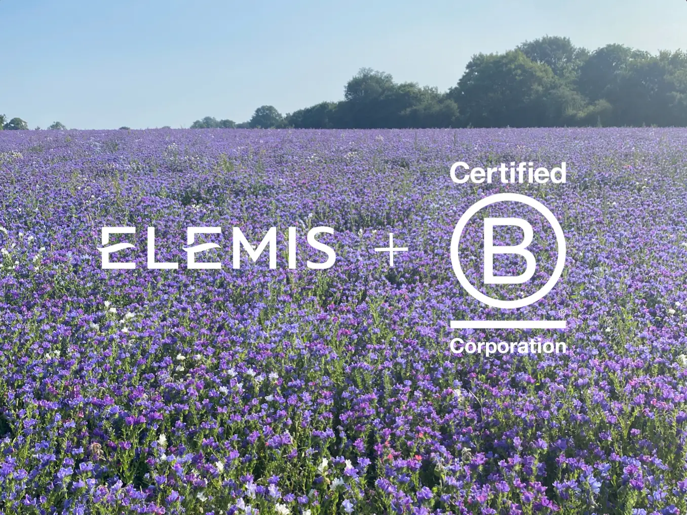 NOUS SOMMES FIERS D'ÊTRE UNE ENTREPRISE CERTIFIÉE B CORP
